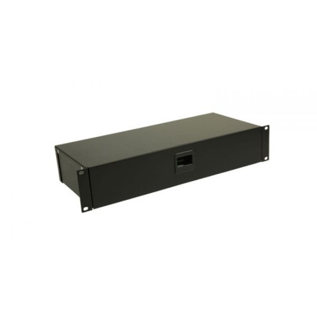 Casier rackable 2U profondeur 200mm